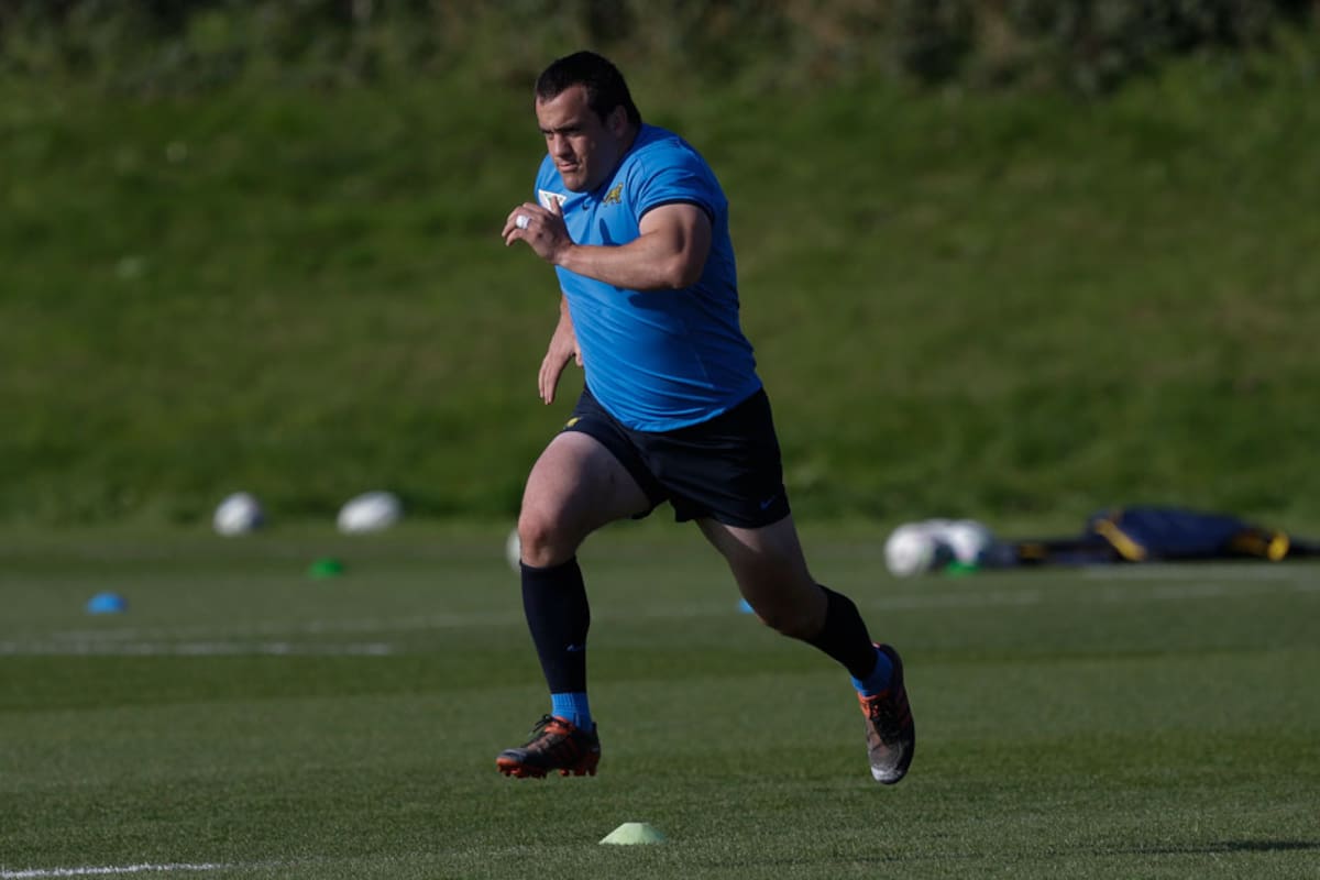 En los equipos de talla, qué lugar ocupan los Pumas