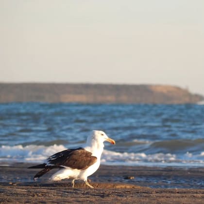En Los Pocitos impera la naturaleza en cada rincón