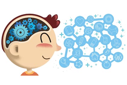 En los primeros años del niño, el cerebro crece más que durante el resto de su vida, de ahí su inmensurable capacidad de aprendizaje. Cuáles son factores que contribuyen a su desarrollo.