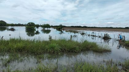 En los primeros diez días de enero se ha acumulado un total de 505 mm de lluvia en la región
