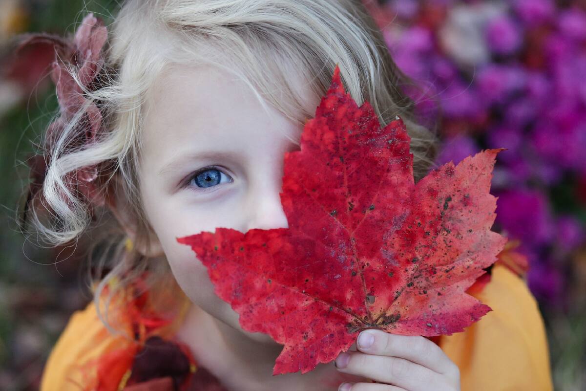 En los próximos días empieza el otoño en el hemisferio sur