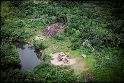 En los que artículos publicados en revistas de prestigio están favoreciendo tanto la inacción climática como la pérdida de biodiversidad.
