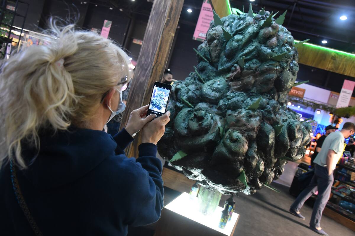 En los tres días de la ExpoCannabis 2021, asistieron más de 50.000 personas. Otras 10.000 la siguieron en modalidad virtual