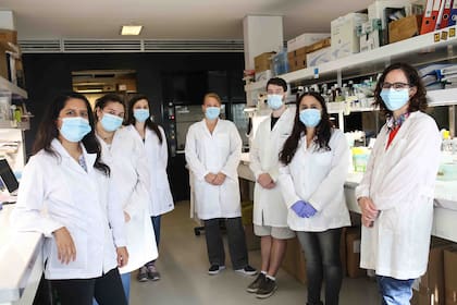 En los últimos años, el equipo venía trabajando en el desarrollo de adyuvantes para vacunas orales usando diferentes antígenos.
