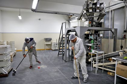 En los últimos años, la informalidad y otras formas de trabajaron ganaron protagonismo en desmedro del empleo asalariado formal en empresas privadas