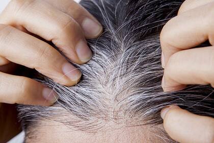En los últimos años, muchas mujeres han optado por dejar de teñirse las canas y mostrar su pelo al natural