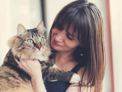 En los últimos años, se ha popularizado la gatoterapia, una terapia realizada con gatos que busca combatir el estrés y la ansiedad