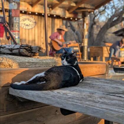 En Luckenbach, Texas, los visitantes están rodeados de robles centenarios, y pueden visitar los lugares más icónicos del lugar