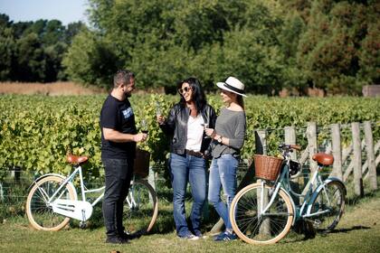 En lugares como la Quebrada de Humahuaca, Chapadmalal, el desierto de La Pampa, Chubut o el Alto Valle de Río Negro, se producen hoy vinos de alta gama e incluso de más de 4000 pesos para dar respuesta a un consumidor cada vez más sofisticado