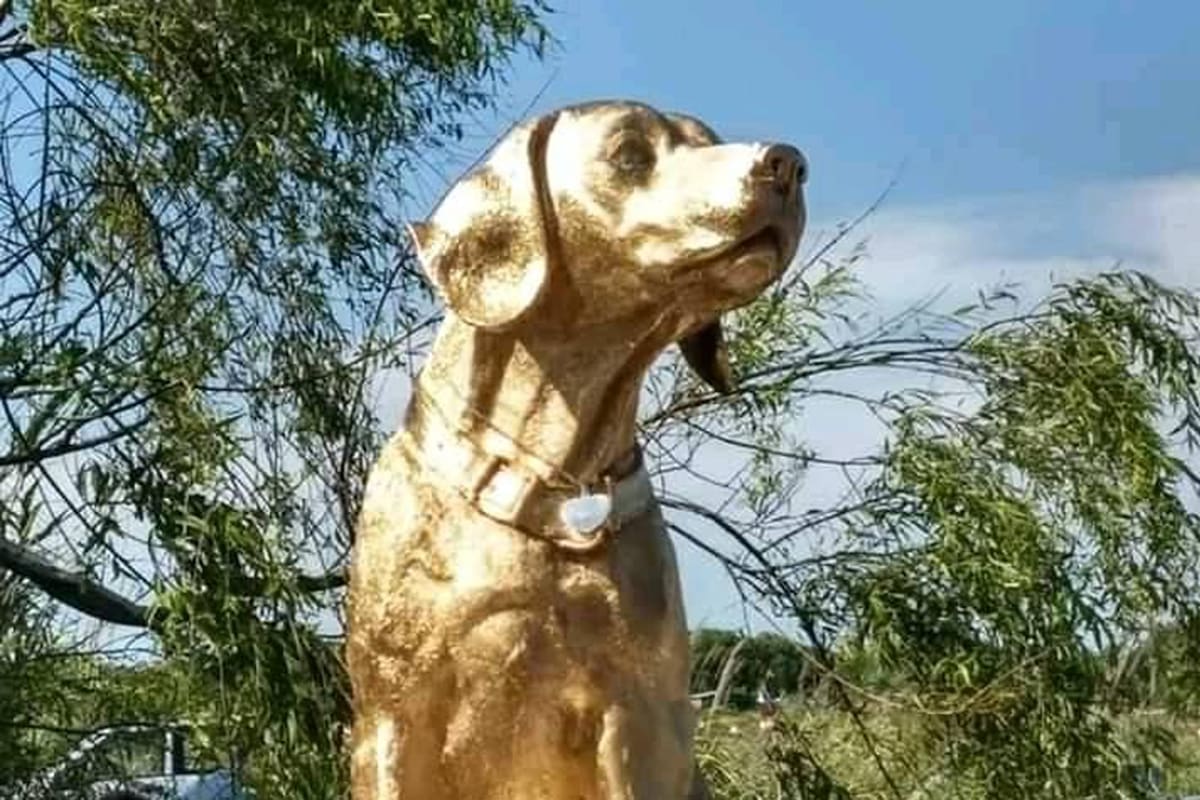 En Mar del Tuyú ya tiene una estatua en su honor