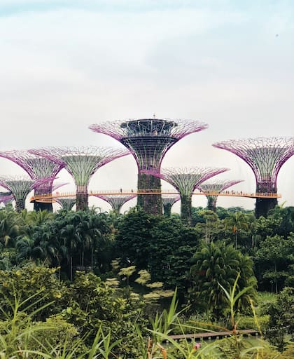 En Marina Bay, la arquitectura futurista va a hacerte sentir en una peli de ciencia ficción.