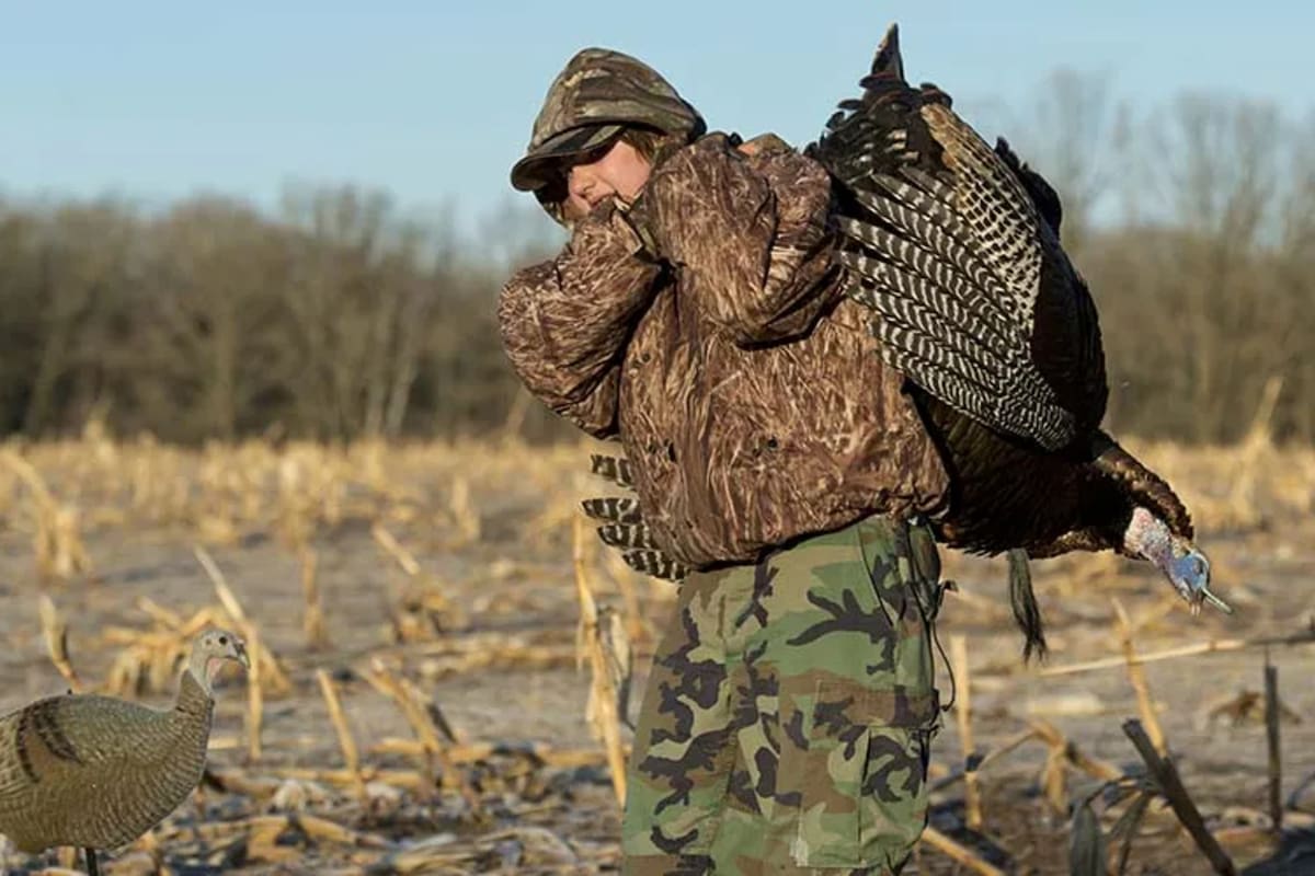 En Maryland ya están en marcha las temporadas de caza menor de varias especies y otras ya están cerca de la apertura