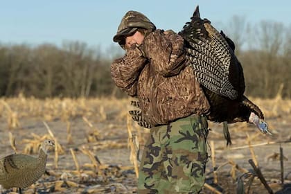 En Maryland ya están en marcha las temporadas de caza menor de varias especies y otras ya están cerca de la apertura