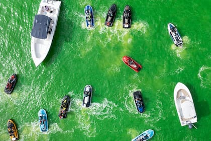 En marzo de 2023, el río Hillsborough se tiñó de verde para la celebración tradicional del Día de San Patricio, en Tampa