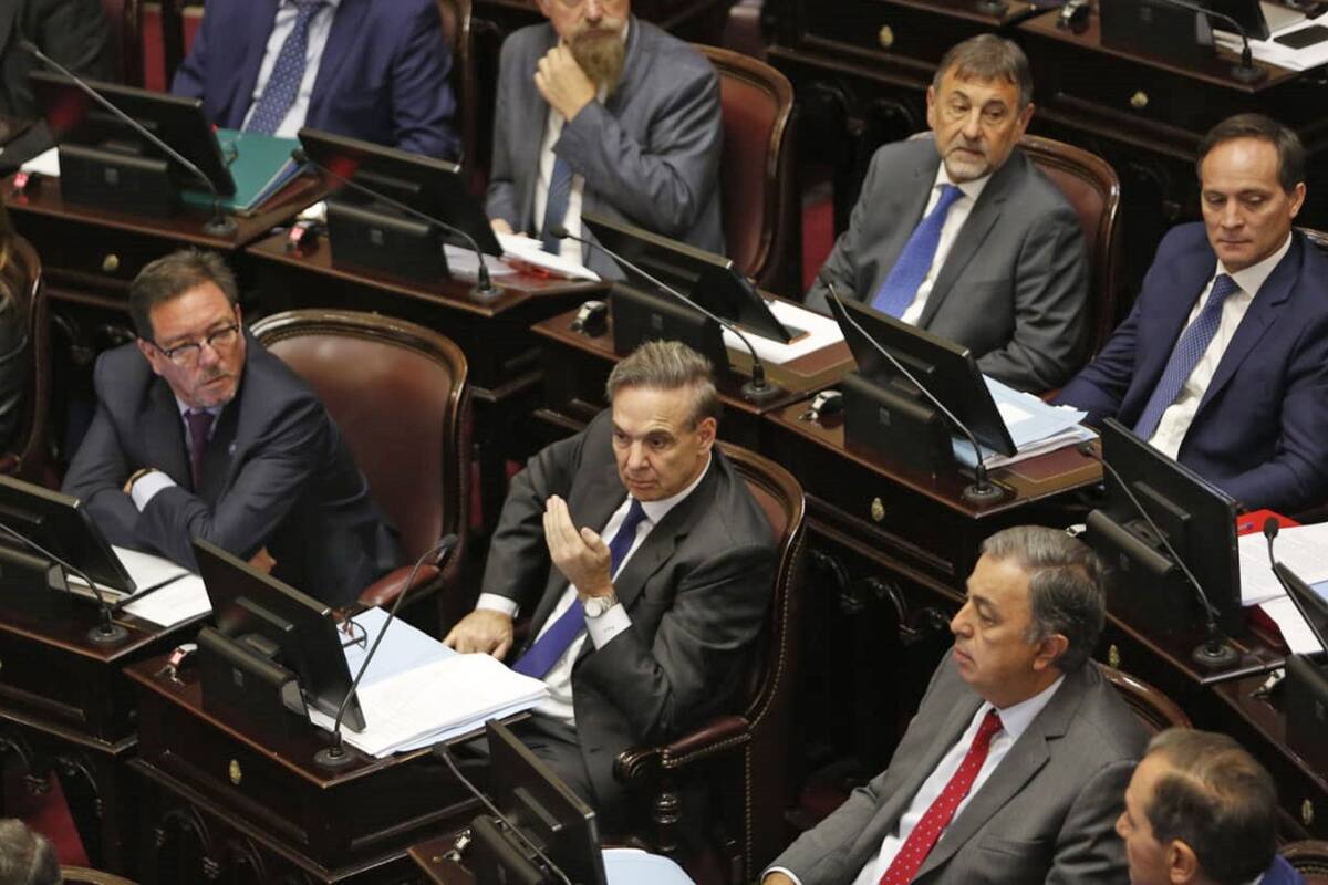 En marzo, legisladores de distintos bloques llevarán proyectos al Congreso para retrotraer los valores a 2018; evalúan presentar amparos ante la Justicia