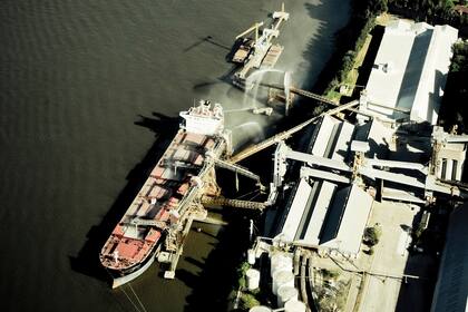 En marzo se redujo el ingreso de divisas un 6,9%