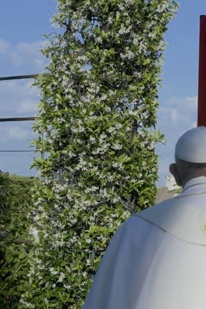 En mayo pasado, en los jardines de Vaticano, el Papa Francisco rogó a la Virgen Desatadora de Nudos por el fin de la pandemia.