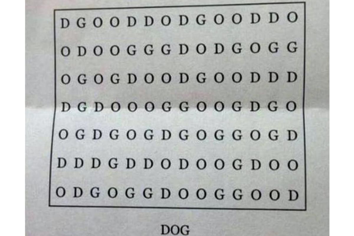 En mayúsculas, la palabra DOG (perro en inglés) está escondida en una de las diagonales de esta sopa de letras