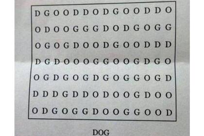 En mayúsculas, la palabra "dog" (en español: perro) está escondida en esta sopa de letras