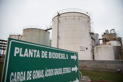 En medio de la falta de gasoil, las cámaras de biocombustibles indicaron que el país está en condiciones de producir más biodiésel