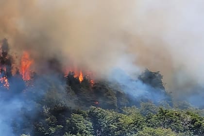 En medio de la ola de calor, se registran focos de incendio en varias regiones de la Patagonia argentina y en Chile