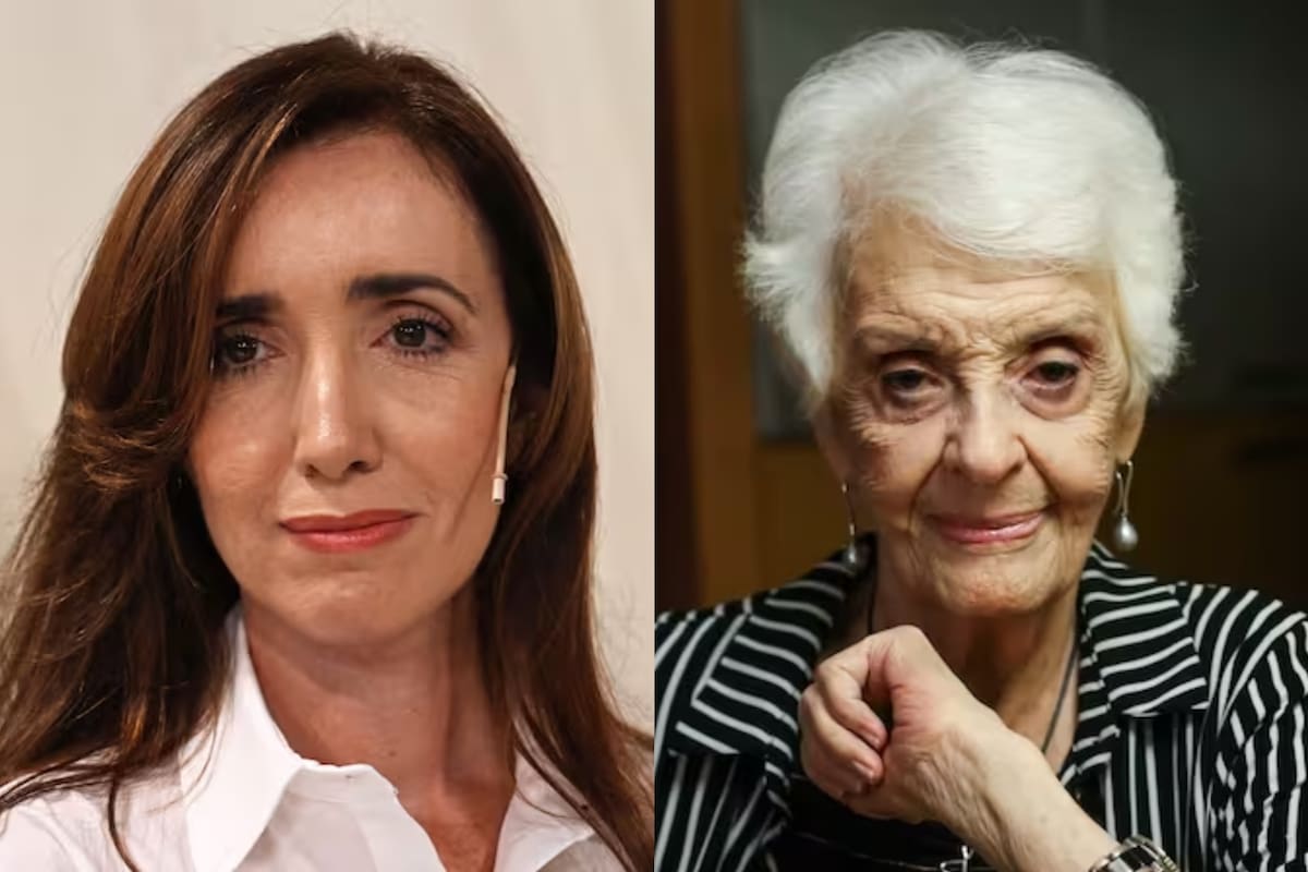 En medio de la polémica por el acto de Victoria Villarruel, Luis Majul pidió que intervenga Graciela Fernández Meijide, ya que consideró que "representa el pensamiento de la mayoría de los argentinos"