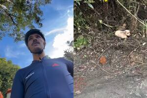 En medio de su viaje en bicicleta, un llanto los paralizó y los desvió del camino (Capturas: Instagram @pataspeludascc)