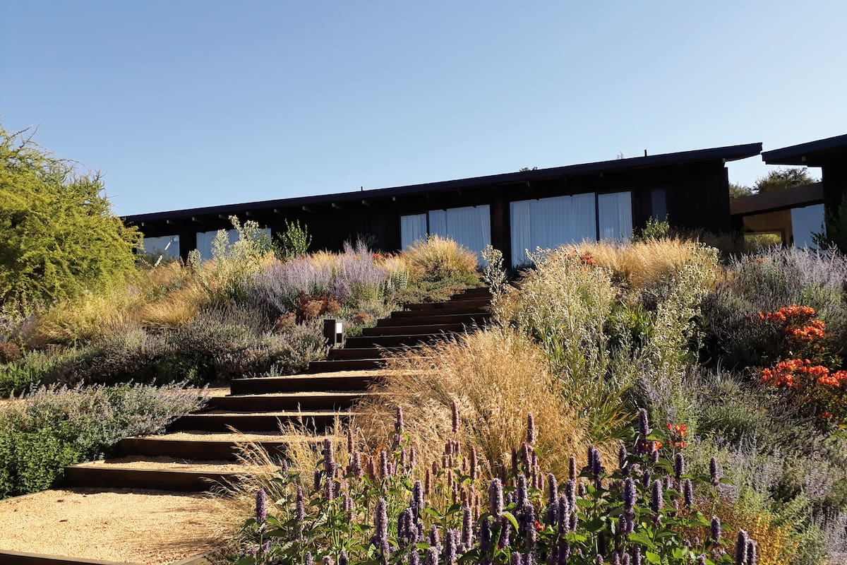 En medio de un valle, la casa y la piscina se integran al paisaje de manera natural
