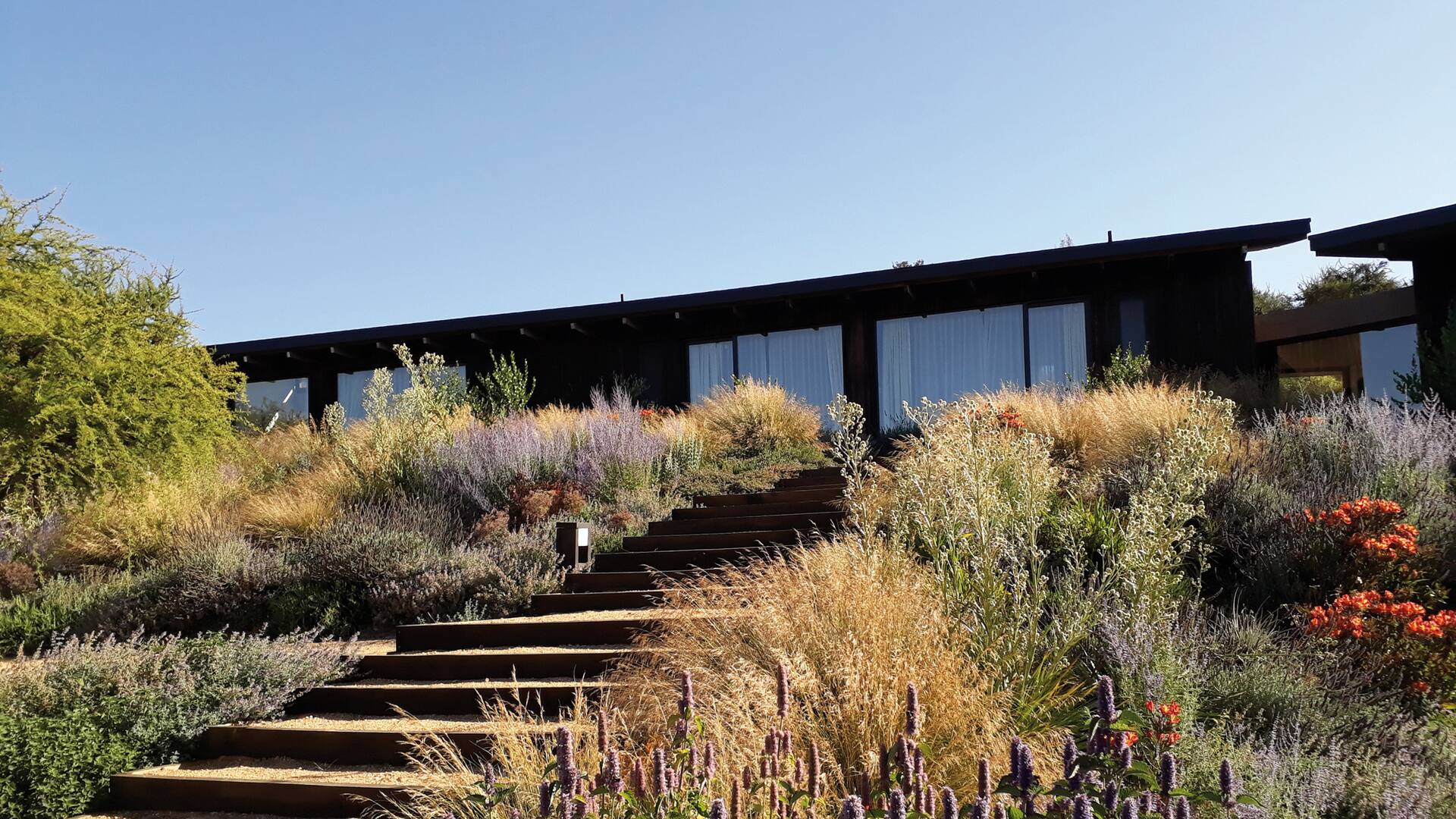 En medio de un valle, la casa y la piscina se integran al paisaje de manera natural