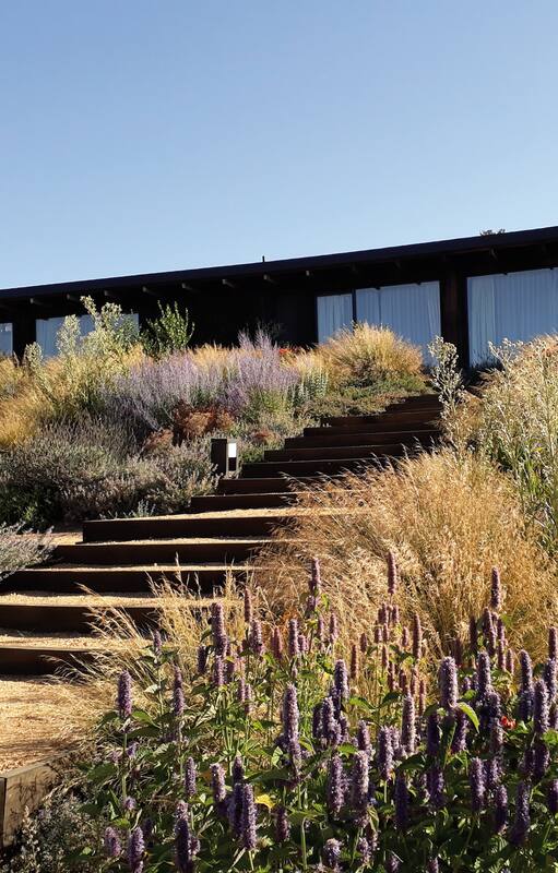 En medio de un valle, la casa y la piscina se integran al paisaje de manera natural