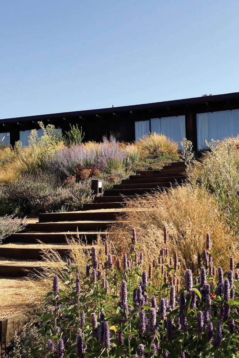 En medio de un valle, la casa y la piscina se integran al paisaje de manera natural