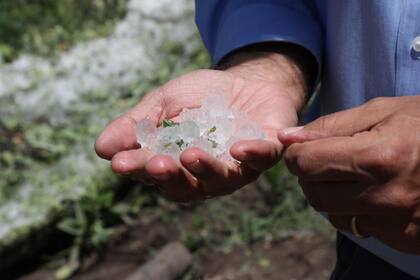 En Mendoza, el granizo genera fuertes pérdidas en la producción