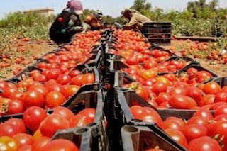Se apagó el boom de un alimento que era sensación en una provincia