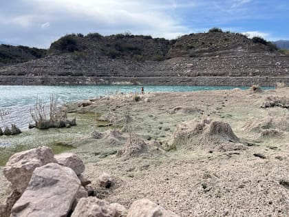 En Mendoza, los pronósticos climáticos son poco alentadores para las próximas décadas