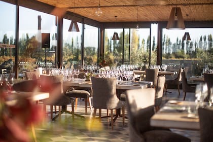 En Mendoza se puede disfrutar de las mejores bodegas