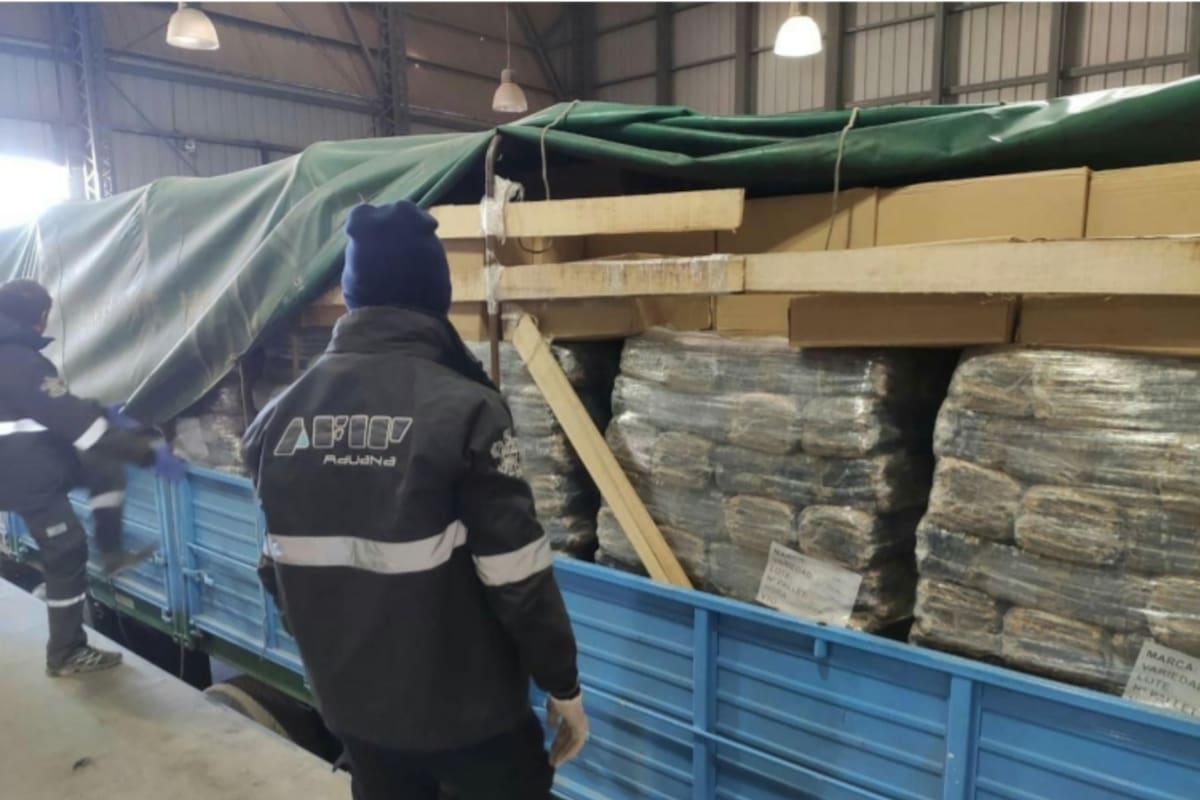 En Mendoza, un camión que transportaba fideos secos llevaba oculto cajas con 119.000 paquetes de cigarrillos