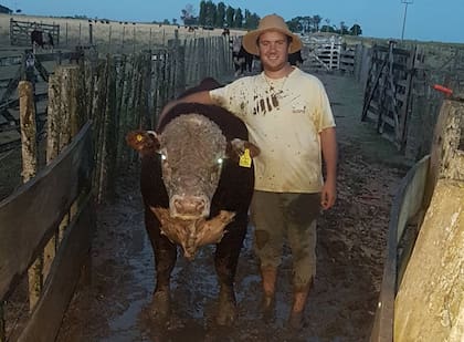 En "Mi Paraíso", trabajando en la manga con un toro