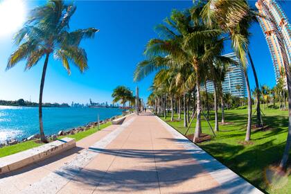 En Miami el consejo es bastante claro: menos shopping y más naturaleza