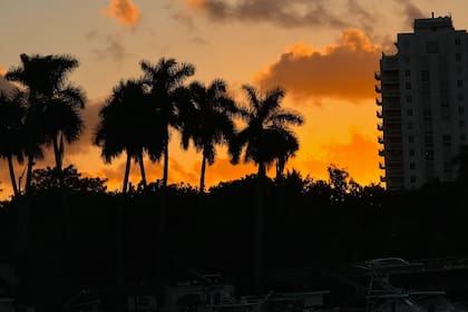 En Miami y el sudeste se esperan máximas de 73–75°F (23–24°C) y mínimas cerca de 64°F (18°C)
