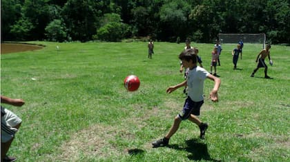 Los especialistas destacan la importancia de mantener una vida activa