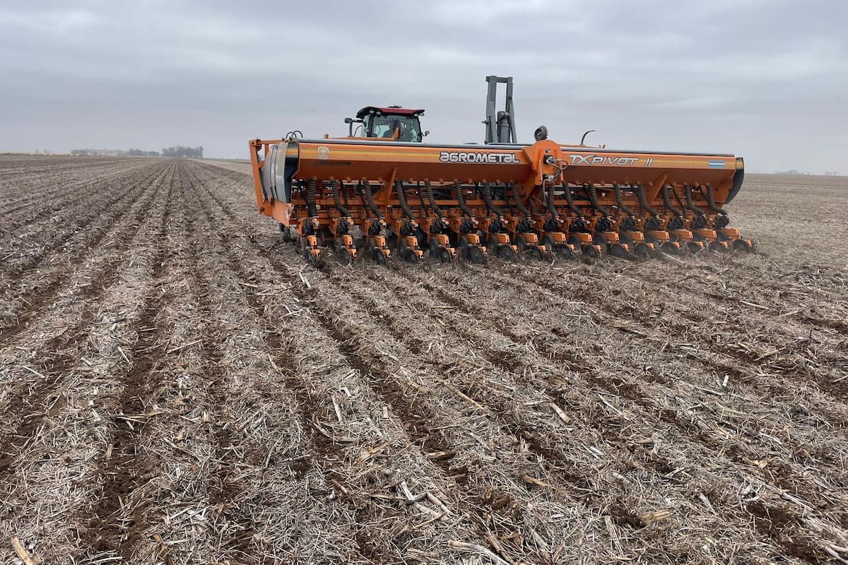 En Monte Buey llovió y se largará a fondo lo que resta de la campaña de siembra