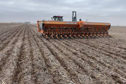 En Monte Buey llovió y se largará a fondo lo que resta de la campaña de siembra
