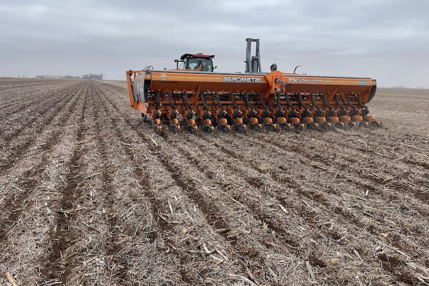 Alivio hídrico en la región núcleo: las lluvias renuevan las esperanzas para los cultivos