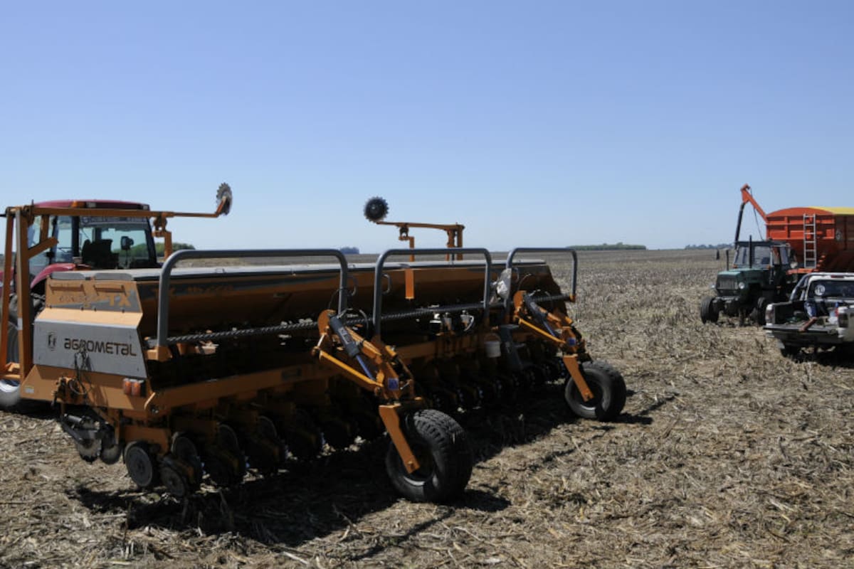 En muchas zonas de Buenos Aires se atrasará la siembra de maíz