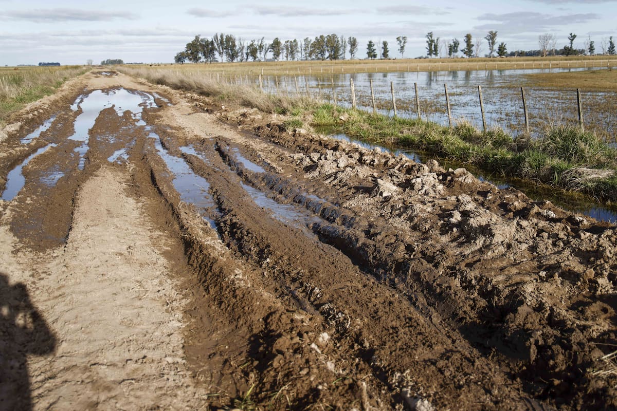 En muchas zonas de la Séptima Sección electoral los perfiles de los suelos están cargados, y las lluvias castigan la producción