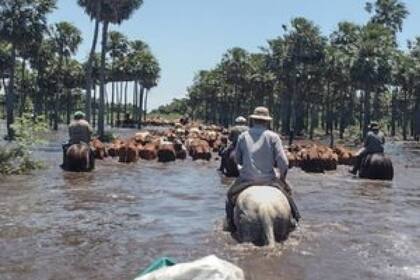 En muchas zonas pasaron de la sequía a los anegamientos