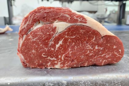 En muchos mercados del hemisferio norte la carne demandada no es la producida con un novillo criado a pasto que da carne magra, de color rojizo fuerte y posibilidad de grasa amarilla, sino que los consumidores de Estados Unidos, de países de Europa y de Japón demandan un producto con mayor grado de grasa intramuscular, con poca grasa de cobertura de la res, que debe ser blanca, carne color rosa pálido y gran área de ojo de bife