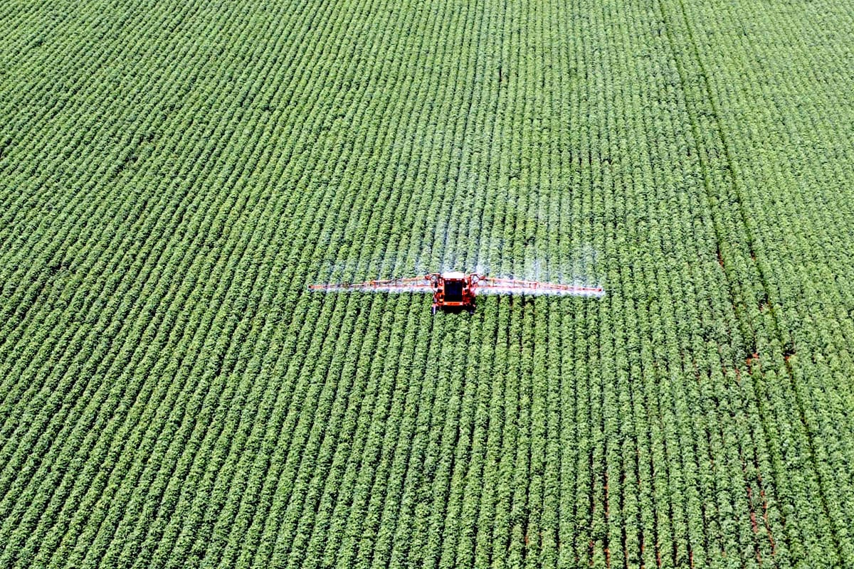 En muchos municipios se implementaron medidas restrictivas contra las aplicaciones