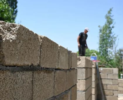 En muchos países ya se fabrican ladrillos en base a la cáscara de arroz