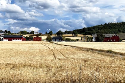 En Noruega, la población está integrada a la naturaleza.